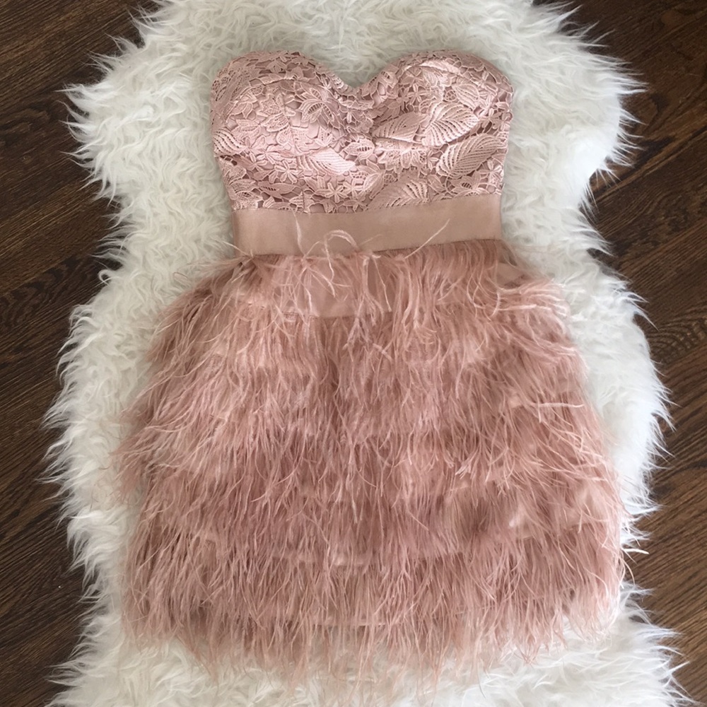Bebe Feathered Mini Dress
